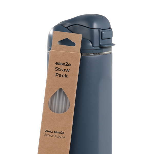 Ease2o Straws 4 Pack 24oz WV16